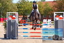 Filename=PT9_9882.JPG
Filesize=573KiB
Dimensions=1224x817
Date added=Sep 09, 2023 PT9_9882.JPG