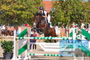 Filename=PT9_9891.JPG
Filesize=608KiB
Dimensions=1224x817
Date added=Sep 09, 2023 PT9_9891.JPG