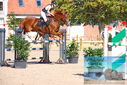 Filename=PT9_9975.JPG
Filesize=582KiB
Dimensions=1224x817
Date added=Sep 09, 2023 PT9_9975.JPG