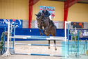 Filename=PT9_0525.JPG
Filesize=529KiB
Dimensions=1224x817
Date added=Oct 16, 2023 PT9_0525.JPG