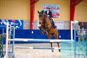 Filename=PT9_0531.JPG
Filesize=512KiB
Dimensions=1224x817
Date added=Oct 16, 2023 PT9_0531.JPG