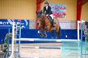 Filename=PT9_0532.JPG
Filesize=480KiB
Dimensions=1224x817
Date added=Oct 16, 2023 PT9_0532.JPG