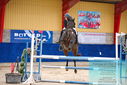Filename=PT9_0557.JPG
Filesize=503KiB
Dimensions=1224x817
Date added=Oct 16, 2023 PT9_0557.JPG