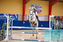 Filename=PT9_0565.JPG
Filesize=488KiB
Dimensions=1224x817
Date added=Oct 16, 2023 PT9_0565.JPG