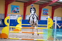 Filename=PT9_0573.JPG
Filesize=482KiB
Dimensions=1224x817
Date added=Oct 16, 2023 PT9_0573.JPG