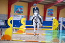 Filename=PT9_0574.JPG
Filesize=483KiB
Dimensions=1224x817
Date added=Oct 16, 2023 PT9_0574.JPG