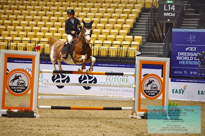 CSI2 Medium Tour (238.2.1) 1.40m
Keywords: philine widmayer;nindiana van den berg