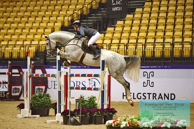 CSI2 Medium Tour (238.2.1) 1.40m
Keywords: stine cassoe jacobsen;birkegaardens malibu dwb