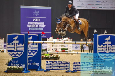 Easy Agri Care CSI2 Big Tour LR (238.2.2) 1.45m
Keywords: andreas theurer;angelina