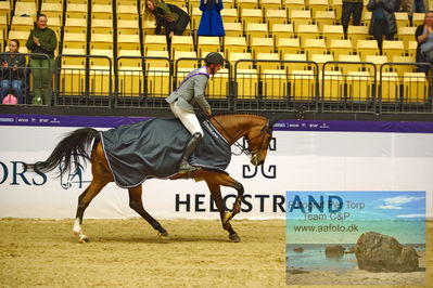 Stutteri Ask Grand Prix CSI2 (
Keywords: andreas schou;lady corlina;lap of honour