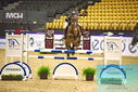 Filename=PT9_1062.JPG
Filesize=508KiB
Dimensions=1224x817
Date added=Oct 21, 2023 PT9_1062.JPG