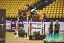 Filename=PT9_1318.JPG
Filesize=449KiB
Dimensions=1224x817
Date added=Oct 21, 2023 PT9_1318.JPG