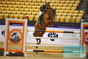 Filename=PT9_1319.JPG
Filesize=464KiB
Dimensions=1224x817
Date added=Oct 21, 2023 PT9_1319.JPG