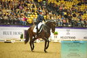 Filename=PT9_2304.JPG
Filesize=535KiB
Dimensions=1224x817
Date added=Oct 22, 2023 PT9_2304.JPG
