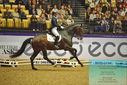 Filename=PT9_2311.JPG
Filesize=491KiB
Dimensions=1224x817
Date added=Oct 22, 2023 PT9_2311.JPG