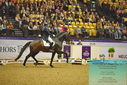Filename=PT9_2319.JPG
Filesize=509KiB
Dimensions=1224x817
Date added=Oct 22, 2023 PT9_2319.JPG