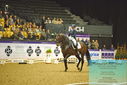 Filename=PT9_2325.JPG
Filesize=481KiB
Dimensions=1224x817
Date added=Oct 22, 2023 PT9_2325.JPG