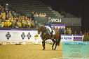Filename=PT9_2326~0.JPG
Filesize=471KiB
Dimensions=1224x817
Date added=Nov 04, 2023 PT9_2326~0.JPG