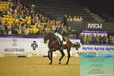 Filename=PT9_2328~0.JPG
Filesize=482KiB
Dimensions=1224x817
Date added=Nov 04, 2023 PT9_2328~0.JPG