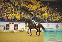 Filename=PT9_2331~0.JPG
Filesize=532KiB
Dimensions=1224x817
Date added=Nov 04, 2023 PT9_2331~0.JPG