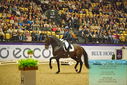 Filename=PT9_2335.JPG
Filesize=566KiB
Dimensions=1224x817
Date added=Oct 22, 2023 PT9_2335.JPG