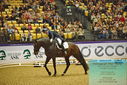Filename=PT9_2340.JPG
Filesize=559KiB
Dimensions=1224x817
Date added=Oct 22, 2023 PT9_2340.JPG