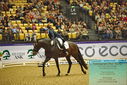 Filename=PT9_2341.JPG
Filesize=552KiB
Dimensions=1224x817
Date added=Oct 22, 2023 PT9_2341.JPG