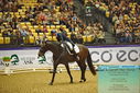 Filename=PT9_2342.JPG
Filesize=547KiB
Dimensions=1224x817
Date added=Oct 22, 2023 PT9_2342.JPG