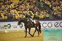 Filename=PT9_2343.JPG
Filesize=539KiB
Dimensions=1224x817
Date added=Oct 22, 2023 PT9_2343.JPG