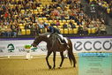 Filename=PT9_2345.JPG
Filesize=538KiB
Dimensions=1224x817
Date added=Oct 22, 2023 PT9_2345.JPG