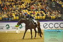 Filename=PT9_2346~0.JPG
Filesize=540KiB
Dimensions=1224x817
Date added=Nov 04, 2023 PT9_2346~0.JPG