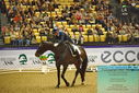 Filename=PT9_2348~0.JPG
Filesize=540KiB
Dimensions=1224x817
Date added=Nov 04, 2023 PT9_2348~0.JPG