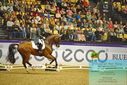 Filename=PT9_2426~0.JPG
Filesize=505KiB
Dimensions=1224x817
Date added=Nov 04, 2023 PT9_2426~0.JPG