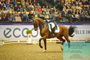 Filename=PT9_2440.JPG
Filesize=482KiB
Dimensions=1224x817
Date added=Oct 22, 2023 PT9_2440.JPG