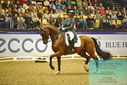 Filename=PT9_2441~0.JPG
Filesize=490KiB
Dimensions=1224x817
Date added=Nov 04, 2023 PT9_2441~0.JPG