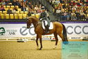 Filename=PT9_2442.JPG
Filesize=528KiB
Dimensions=1224x817
Date added=Oct 22, 2023 PT9_2442.JPG