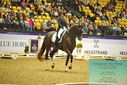 Filename=PT9_2457.JPG
Filesize=514KiB
Dimensions=1224x817
Date added=Oct 22, 2023 PT9_2457.JPG
