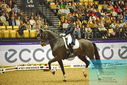 Filename=PT9_2474.JPG
Filesize=526KiB
Dimensions=1224x817
Date added=Oct 22, 2023 PT9_2474.JPG