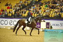 Filename=PT9_2544~0.JPG
Filesize=576KiB
Dimensions=1224x817
Date added=Nov 04, 2023 PT9_2544~0.JPG