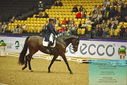 Filename=PT9_2546.JPG
Filesize=519KiB
Dimensions=1224x817
Date added=Nov 04, 2023 PT9_2546.JPG