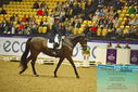 Filename=PT9_2547.JPG
Filesize=537KiB
Dimensions=1224x817
Date added=Nov 04, 2023 PT9_2547.JPG