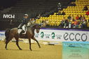 Filename=PT9_2548.JPG
Filesize=428KiB
Dimensions=1224x817
Date added=Nov 04, 2023 PT9_2548.JPG