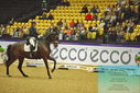 Filename=PT9_2549.JPG
Filesize=481KiB
Dimensions=1224x817
Date added=Nov 04, 2023 PT9_2549.JPG