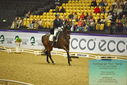 Filename=PT9_2552~0.JPG
Filesize=509KiB
Dimensions=1224x817
Date added=Nov 04, 2023 PT9_2552~0.JPG