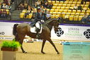 Filename=PT9_2553.JPG
Filesize=453KiB
Dimensions=1224x817
Date added=Nov 04, 2023 PT9_2553.JPG