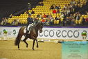 Filename=PT9_2555~0.JPG
Filesize=511KiB
Dimensions=1224x817
Date added=Nov 04, 2023 PT9_2555~0.JPG