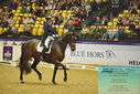 Filename=PT9_2557.JPG
Filesize=521KiB
Dimensions=1224x817
Date added=Oct 22, 2023 PT9_2557.JPG