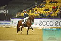 Filename=PT9_2627~0.JPG
Filesize=514KiB
Dimensions=1224x817
Date added=Nov 04, 2023 PT9_2627~0.JPG