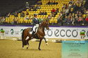 Filename=PT9_2628~0.JPG
Filesize=514KiB
Dimensions=1224x817
Date added=Nov 04, 2023 PT9_2628~0.JPG