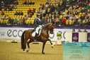 Filename=PT9_2629.JPG
Filesize=527KiB
Dimensions=1224x817
Date added=Oct 22, 2023 PT9_2629.JPG
